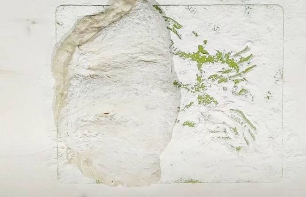 Брускетта — рецепты в домашних условиях с фотографиями начинок
Брускетта — рецепты в домашних условиях с фотографиями начинок