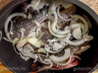 Тушеная щука с помидорами и луком Тушеная щука с помидорами и луком